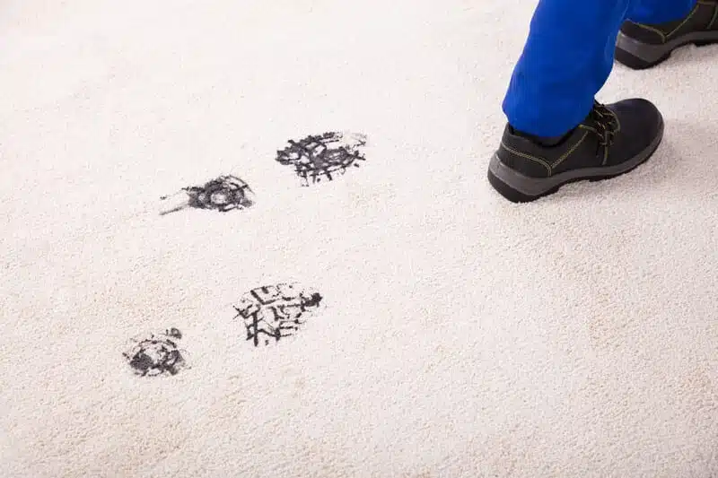 Step-by-Step: How to Keep Your Carpet Safe during a Move?