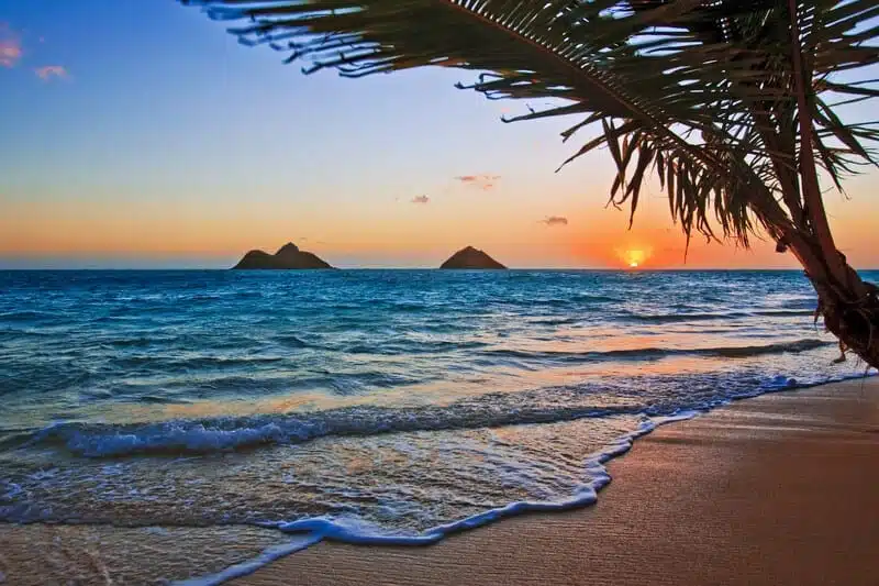 Moving to Hawaii: Complete Moving Guide 2023