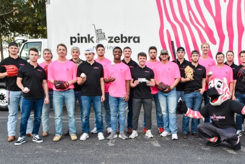 Pink Zebra Moving Review 2024